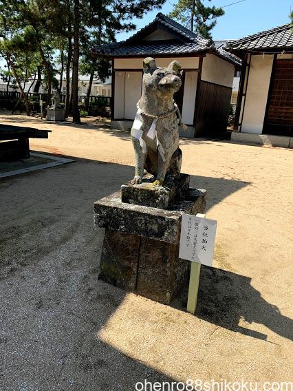 日本犬の狛犬
